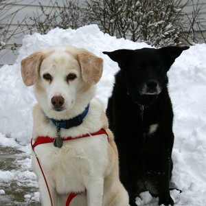 Fundraising Page: Jim & Brenda Guyer